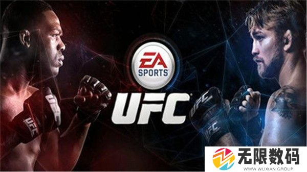 ufc终极格斗冠军赛