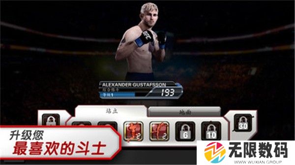 ufc终极格斗冠军赛