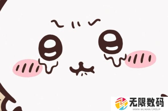 自嘲熊作者是女生吗