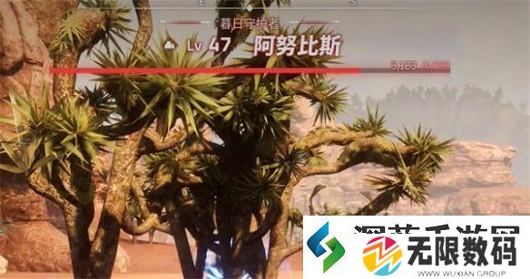 幻兽帕鲁蛋糕制作慢解决方法：角色定位与阵容搭配