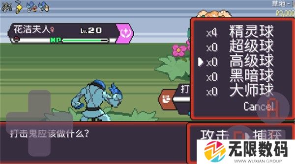 宝可梦肉鸽