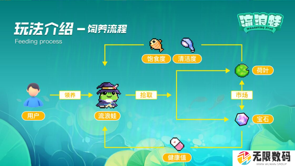 流浪蛙游戏