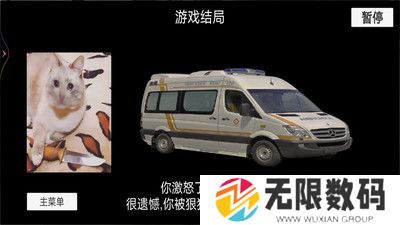 猫meme搞怪冒险