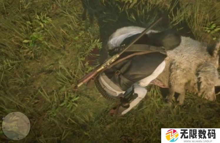 荒野大镖客救赎传说野猪戈多出没位置_荒野大镖客救赎传说野猪戈多任务在哪