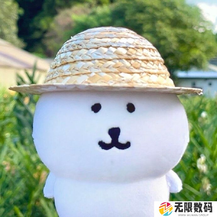 自嘲熊韩版和日版区别大不大_自嘲熊韩版和日版区别介绍图片