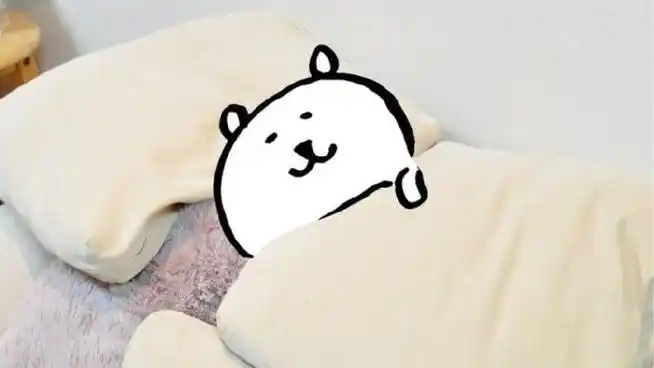 自嘲熊韩版和日版区别大不大_自嘲熊韩版和日版区别介绍图片