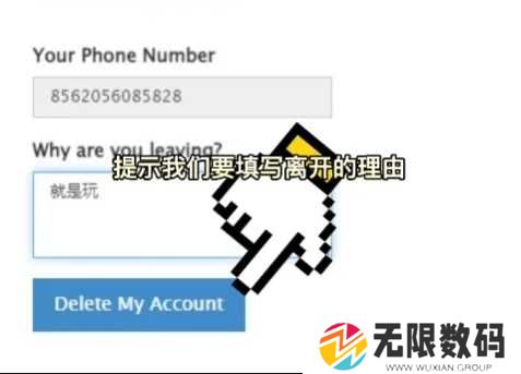 纸飞机官方