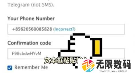 纸飞机官方
