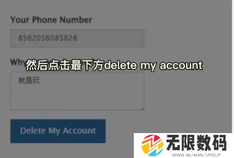 纸飞机官方