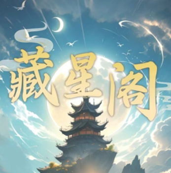 藏星阁游戏